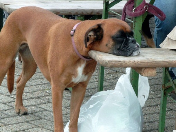 med_Nix als Stress.jpg (600 x 450)